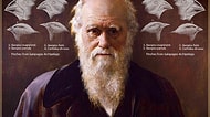 Charles Darwin ve Evrim Teorisi Hakkında Yanlış Bildiklerinizi Öğrenince Çok Şaşıracaksınız!