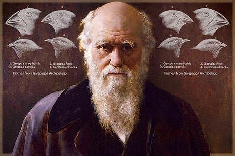 Charles Darwin ve Evrim Teorisi Hakkında Yanlış Bildiklerinizi Öğrenince Çok Şaşıracaksınız!