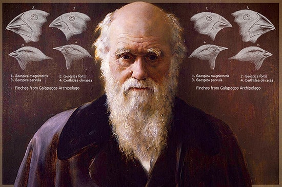 Charles Darwin ve Evrim Teorisi Hakkında Yanlış Bildiklerinizi Öğrenince Çok Şaşıracaksınız!