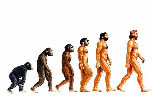 İlk olarak insanların maymunlardan evrilmesi meselesine değinelim...