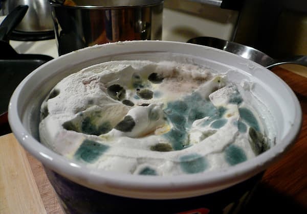 5. Этот йогурт так и не дождался своей участи..