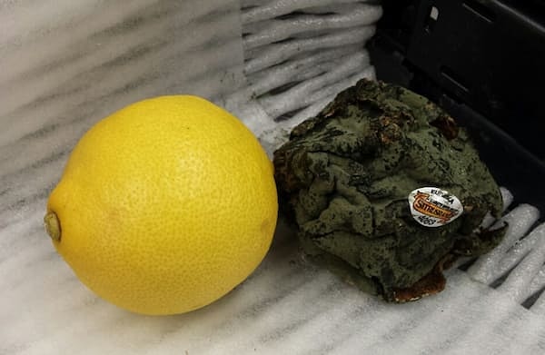 7. Съели бы этот бывший лимон за 1000 долларов?