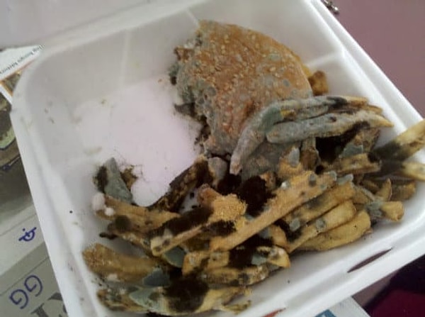 13. Отврат 😓