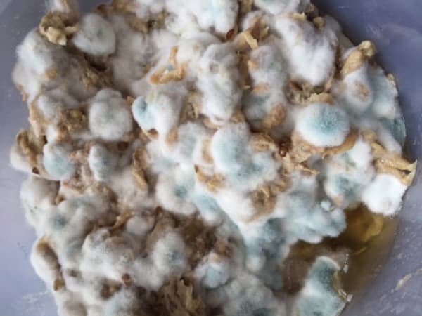 24. Если вы все еще здесь, вот вам немного утренней кашки