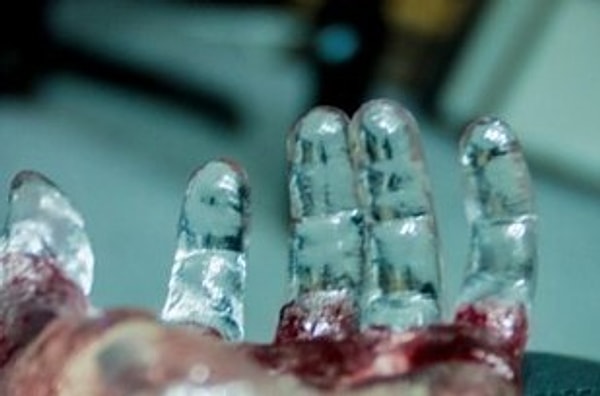 13. Таксидермия