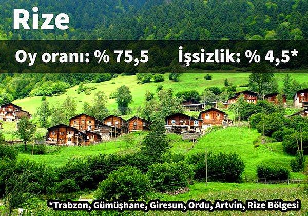 2. Rize