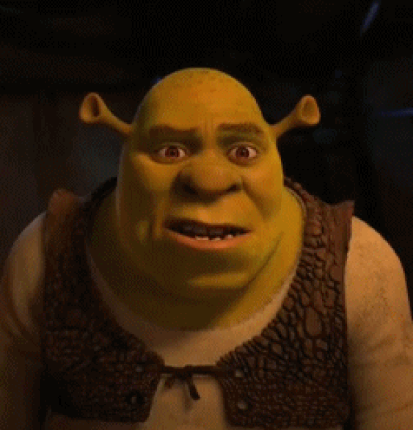 16. Okan Bayülgen'in seslendirme konusundaki yeteneğini biliyoruz, Shrek'te bu konuda zirvedeydi.