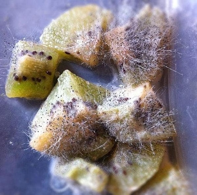 2. Or these kiwi slices?