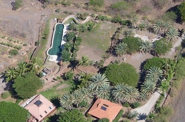 5. ЧТО ЖЕ ЭТО МОЖЕТ БЫТЬ?