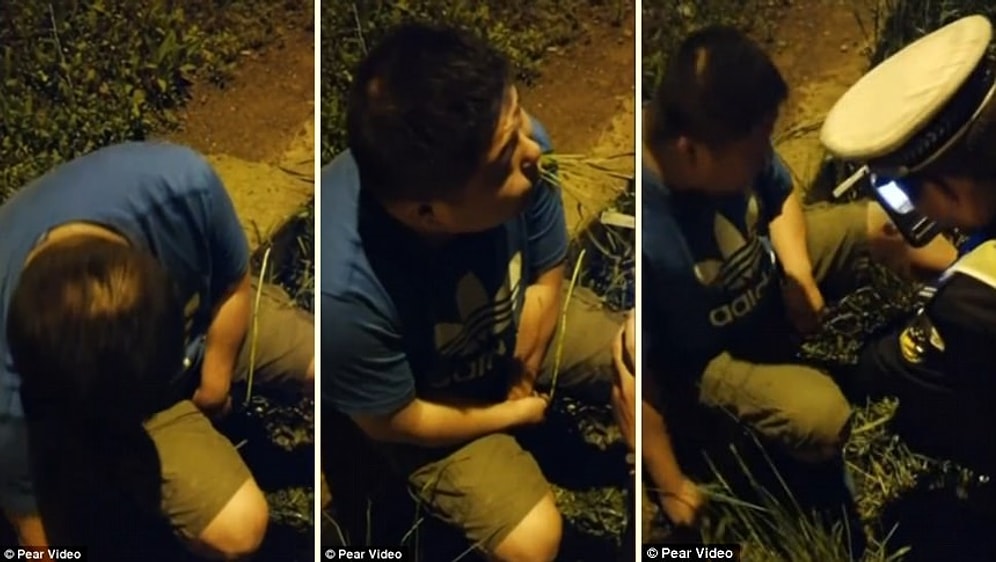 Alkolmetre Testini Geçmek İçin Ot Yiyen Adam