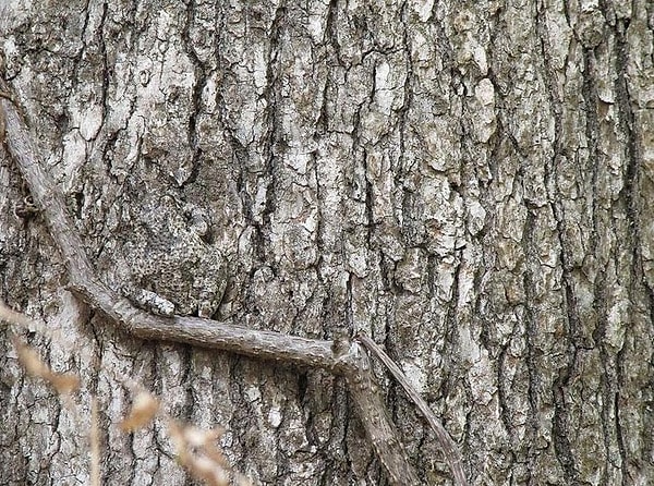 7. Думаете, что здесь ничего нет?