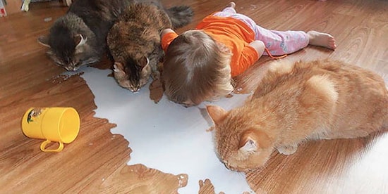 20 фото о том, что бывает, когда дети остаются наедине с домашними животными