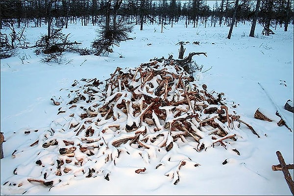 4. Самая большая обнаруженная "бойня" занимает площадь около 6 га