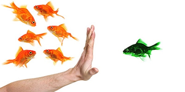 Вы слишком принципиальны