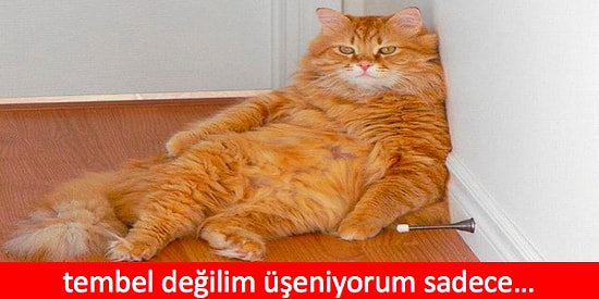 Yedi Ölümcül Günahtan Tembelliğin Size Katacağı 13 Muhteşem Özellik