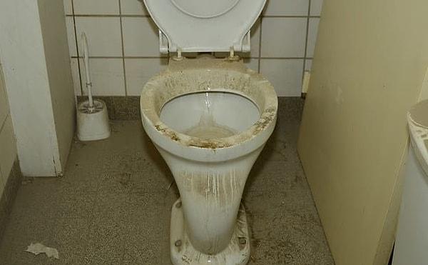 11. Başka seçeneğin yok; bu tuvaleti kullanmak zorundasın. Sormadan söyleyelim, evet kokuyor!