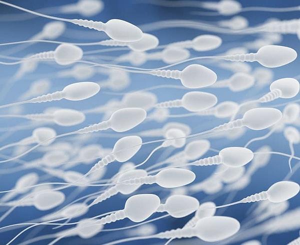 Öncelikle, her boşalmada milyonlarca sperm serbest kalıyor. 1 ml menide 20 milyon sperm bulunuyor ve ortalama bir erkek her seferinde 3.5 ml meni boşaltıyor.