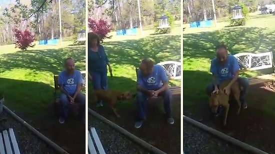 Hastanede Kilo Kaybeden Dostunu İlk Başta Tanımayan Köpeğin Efsane Tepkisi