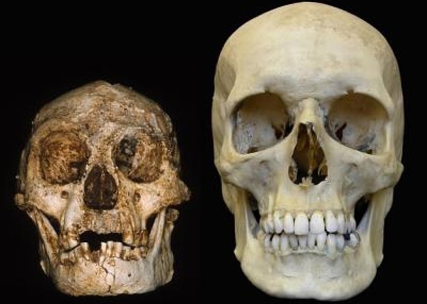 Çalışma kapsamında araştırmacılar, dünyanın dört bir yanından insan kemikleri topladılar.