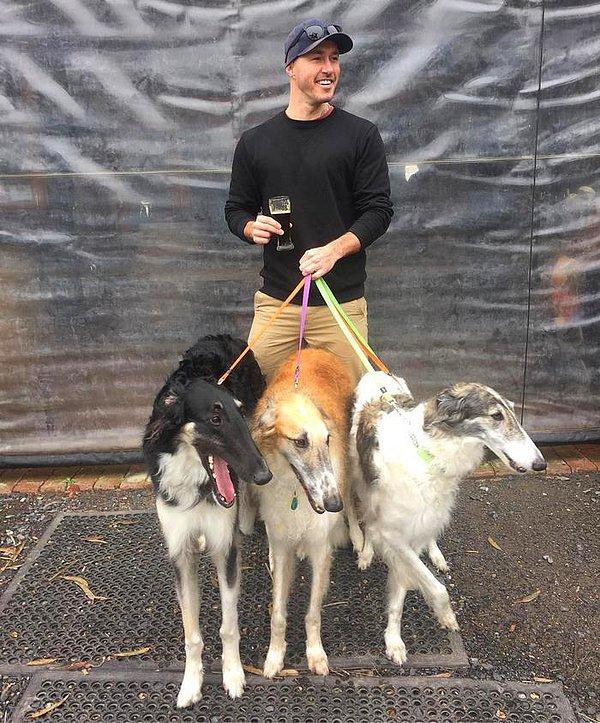 Anderson'ın kurtarılmış köpeklere olan sevgisi, tanışabildiği kadar köpekle tanışma projesiyle başlamış. Daha çok köpek tanıdıkça insanları kurtarılmış köpekler hakkında bilgilendirmeye ve bu köpeklere yardım eli uzatmaya başlamış.