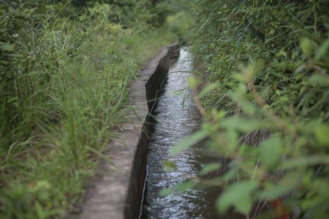 Köyünün Yağmurlarında Yıkanamayan İnsanlara Derman Olan Çinlinin 36 Yıllık Su Getirme Macerası