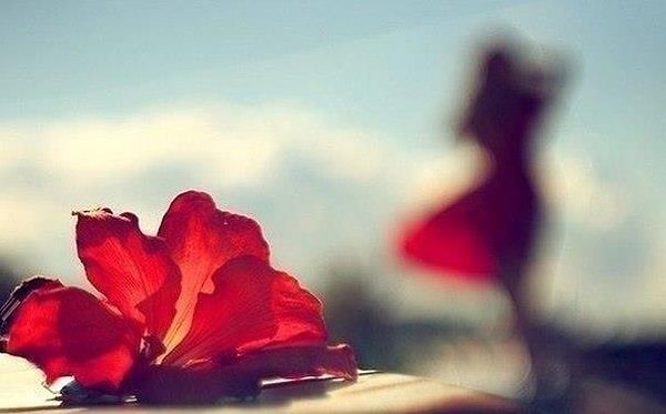 9. Женщина - это Цветок. А мужчина — Садовник! У самого заботливого Садовника самый прекрасный Цветок!