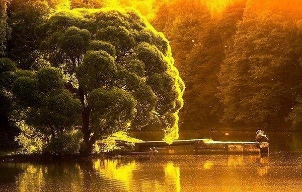 11. Если к кому-то потянулась душа, не сопротивляйтесь. Она единственная точно знает, что нам нужно.
