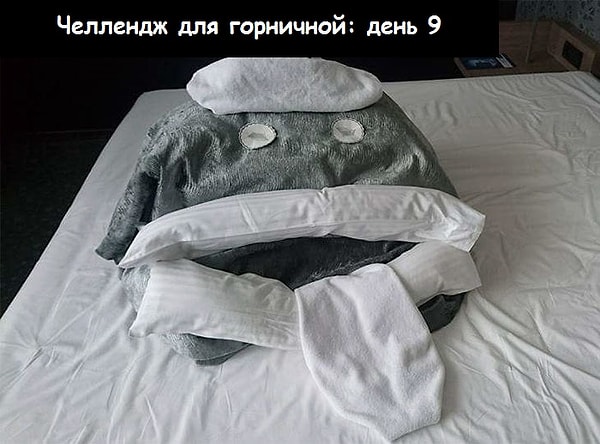 7. На следующий день она обнаружила это: