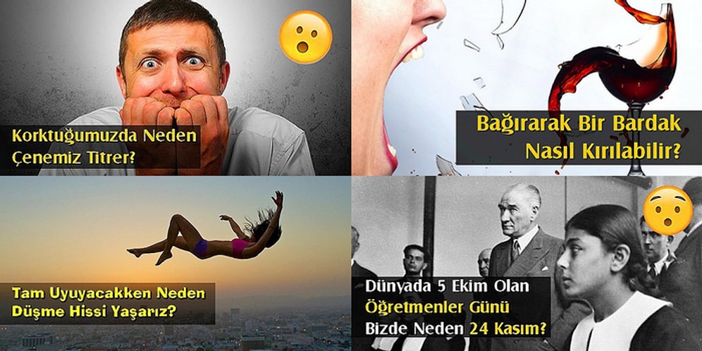 128 Merak Uyandırıcı Soruyla Aradığınız Çoğu Cevaba Ulaşabileceğiniz 11 Onedio İçeriği