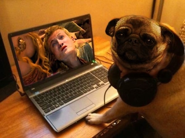 10. "Неееет, хозяяяяяяин!" :(