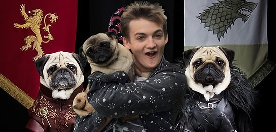 Король Джоффри обнял мопса и стал героем фотожаб