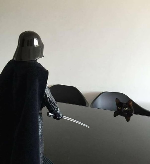 14. Никогда! Никогда не оставляйте свою кошку с мамой!