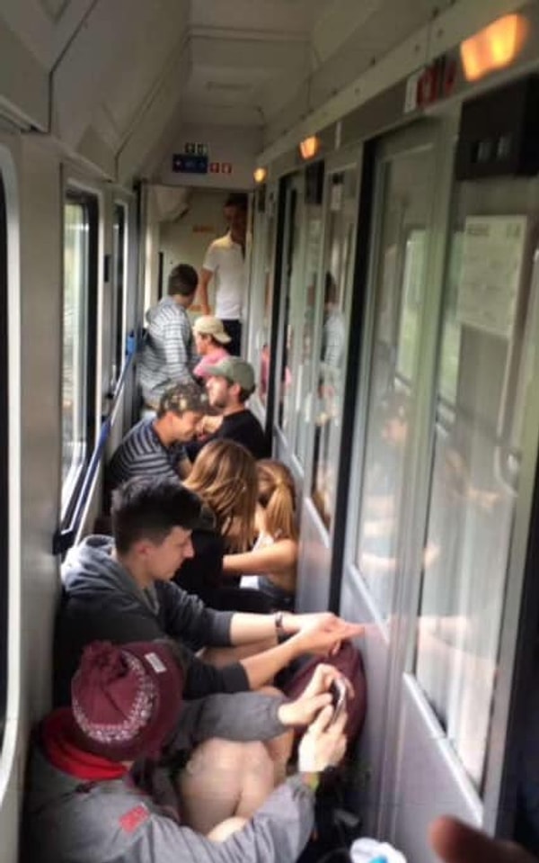 15. Они повсюду!