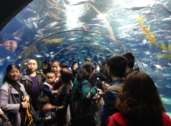 17. В довершение всего не хватает только, чтобы потолок обвалился.