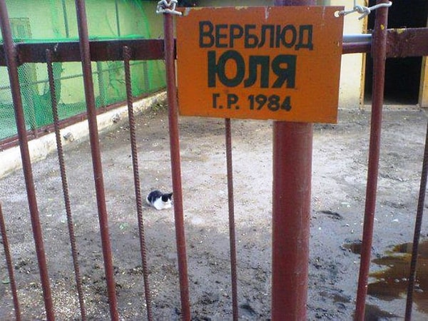 2. Ничего необычного