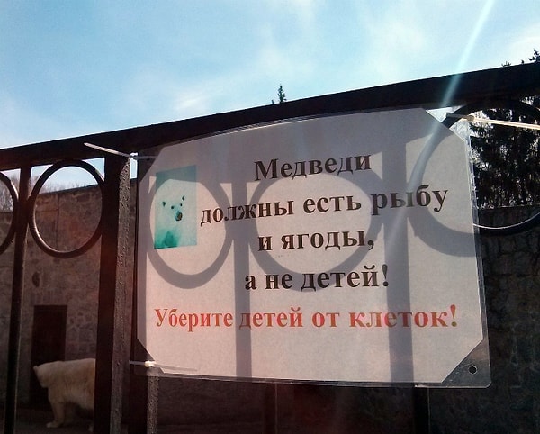 4. Дети не входят в меню медведей