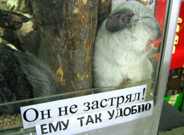 6. В тесноте, да не в обиде