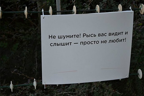 15. Ох уж эта рысь...