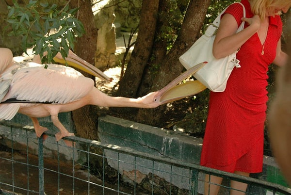 17. Сумка прямо нарасхват