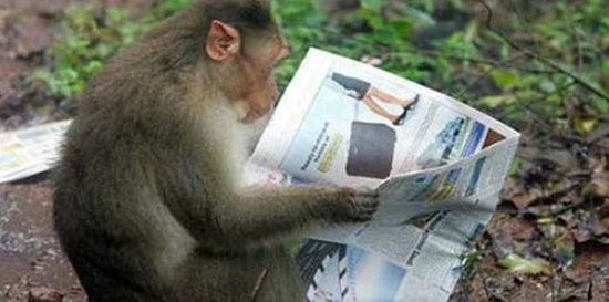 17 уморительных фотографий, сделанных в зоопарке, которые заставят вас плакать от смеха