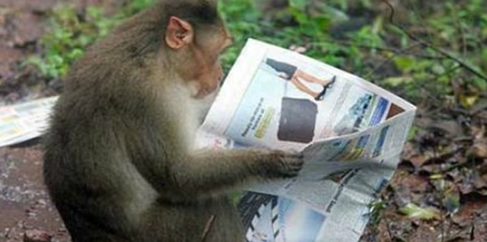 17 уморительных фотографий, сделанных в зоопарке, которые заставят вас плакать от смеха
