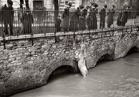 18 редких исторических фото, которые вы не найдете в учебниках!