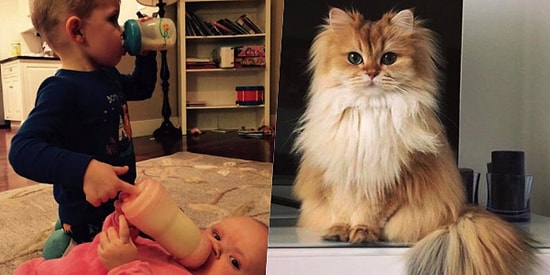 Onedio Instagram Hesabı İftiharla Sunar! Nisan Ayının En Çok Beğenilen 27 Paylaşımı