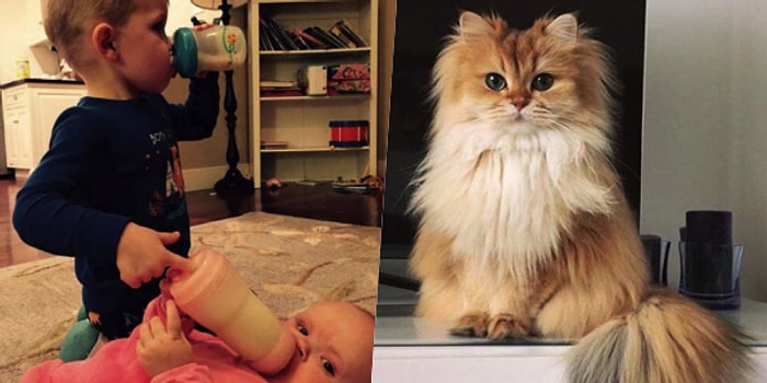 Onedio Instagram Hesabı İftiharla Sunar! Nisan Ayının En Çok Beğenilen 27 Paylaşımı