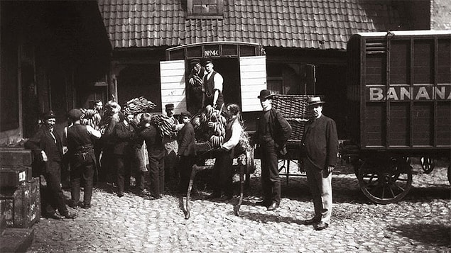 32. The first bananas arriving in Norway. | 1905