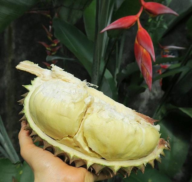 4. Durian, Thailand