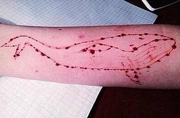 Kendilerine acı vermeleri ile alakalı olan göreve örnek olarak aşağıdaki fotoğrafı gösterebiliriz. Kanlar içinde kalan kız, görev olarak koluna balina çizmiş.