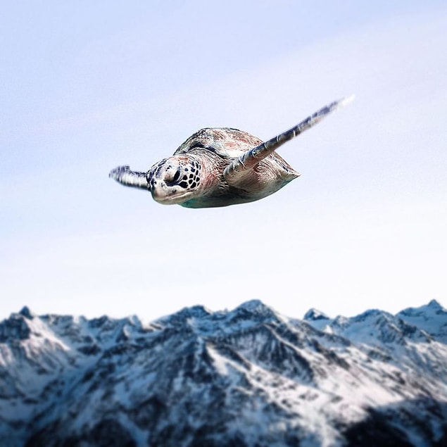 8. Sink or Fly
