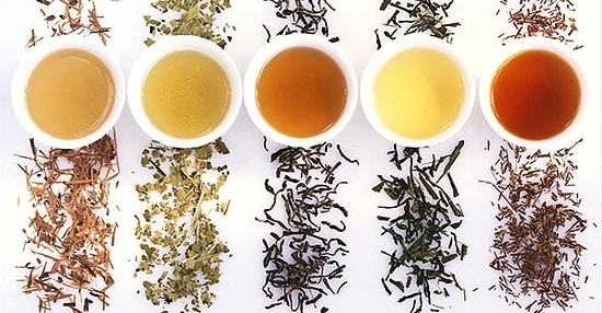 Чайная пауза: польза и вред 10 самых популярных видов чая