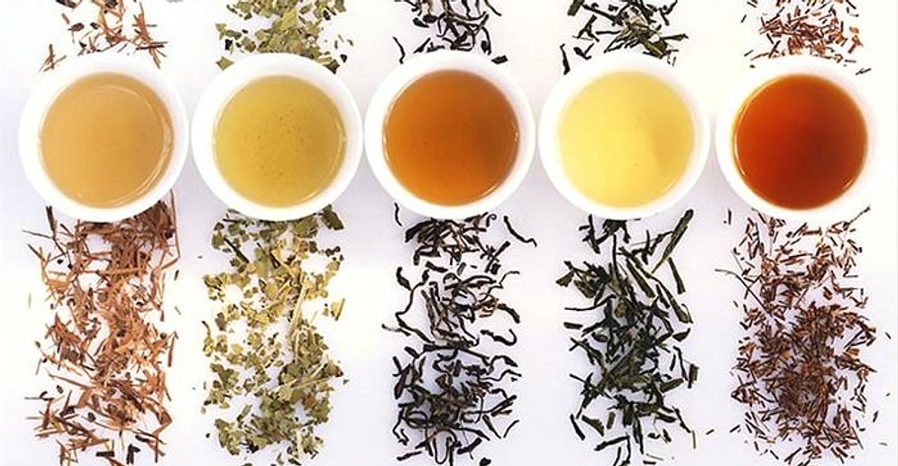 Чайная пауза: польза и вред 10 самых популярных видов чая